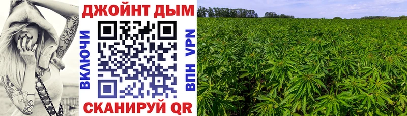 Шишки марихуана White Widow Покачи
